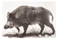 Купить Мишень "Кабан"